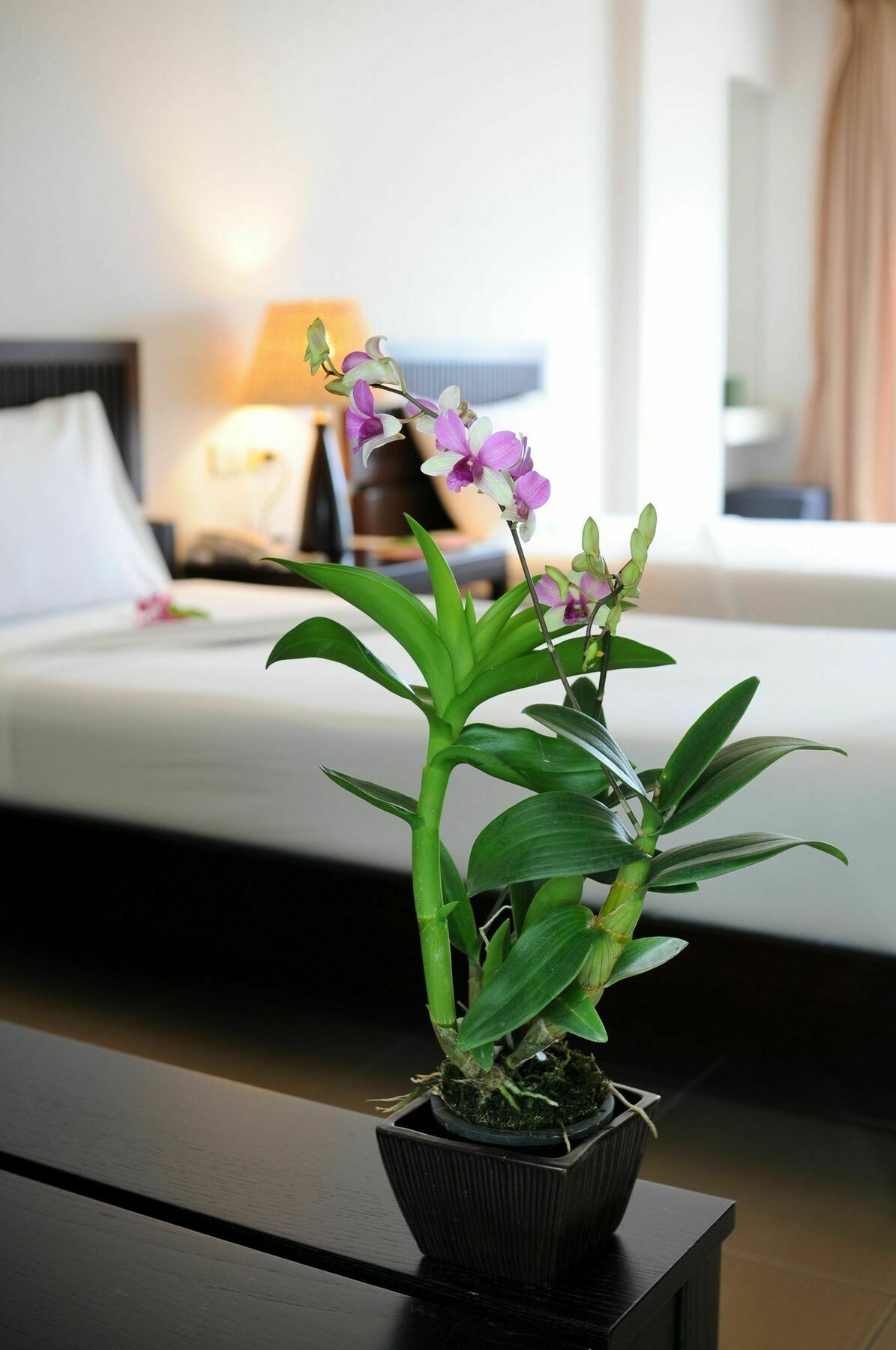 Kasemsarn Hotel Chanthaburi Exteriör bild